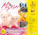 Miyan vol.19  (ルックル)