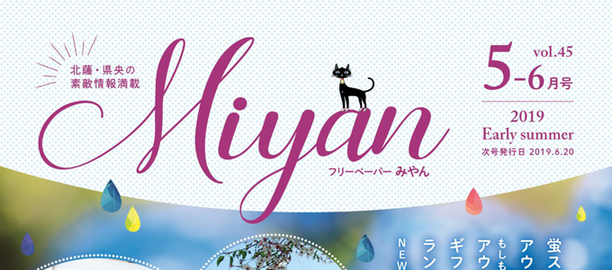 Miyan最新号