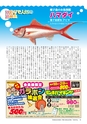 フリーマガジン　あばや vol.14 (ルックル）