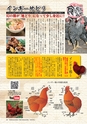 フリーマガジンあばや！vol.15