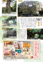 フリーマガジンあばや！vol.15