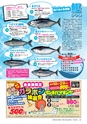 あばや　Vol.16