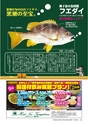 あばや　Vol.17