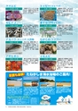 あばや　Vol.17