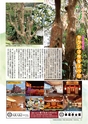 あばや　Vol.17