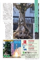 フリーマガジンあばや　vol.21