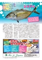 フリーマガジンあばや　vol.21