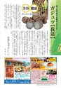 フリーマガジンあばや_vol.9 (ルックル)