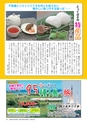 フリーマガジンあばや_vol.9 (ルックル)
