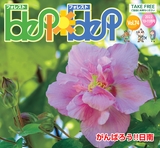 forest74