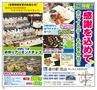 ハッピーチョイス　2014年3月号(ルックル)