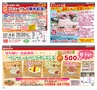 ハッピーチョイス 2015年2月号(ルックル)