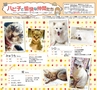ハッピーチョイス 2015年2月号(ルックル)
