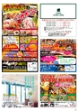 Happy Choice 2017年4月号(ルックル)