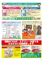 Happy Choice 2019年11月号