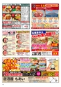 Happy Choice 2020年4月号