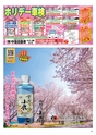 Happy Choice 2020年4月号