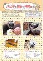 Happy Choice 2020年4月号