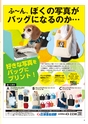 Happy Choice 2020年9月号