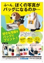 HAPPY CHOICE 2020年10月号