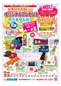 Happy Choice 2020年11月号