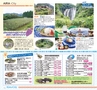 miyan(みやん)　vol.10 (ルックル）