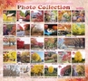 miyan(みやん)　vol.12 (ルックル）
