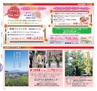 miyan(みやん)　vol.13 (ルックル）