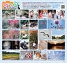 miyan(みやん)　vol.13 (ルックル）