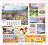 Miyan 2014年3月号(ルックル)