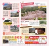 Miyan 2014年3月号(ルックル)