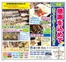 Miyan 2014年3月号(ルックル)