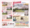 Miyan 2014年3月号(ルックル)