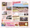 Miyan 2014年3月号(ルックル)