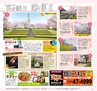 Miyan 2014年3月号(ルックル)