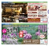 miyan(みやん)　vol.15 (ルックル）