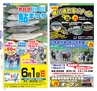 miyan(みやん)　vol.15 (ルックル）