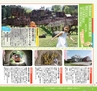 miyan(みやん)　vol.15 (ルックル）
