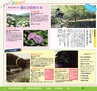 miyan(みやん)　vol.15 (ルックル）