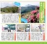 miyan(みやん)　vol.15 (ルックル）