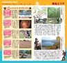 miyan(みやん)　vol.17(ルックル）