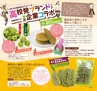 miyan(みやん)　vol.18(ルックル）