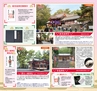 Miyan vol.19  (ルックル)