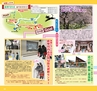 Miyan vol.19  (ルックル)