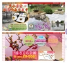 Miyan vol.19  (ルックル)
