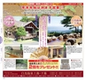 Miyan vol.19  (ルックル)