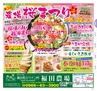 Miyan20-春号（L01）