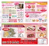 Miyan20-春号（L01）