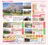 Miyan20-春号（L01）