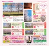 Miyan20-春号（L01）